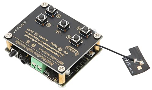 NestNiche Drahtlose 2-in-1-Smart-Audio-Empfängerplatine Für DIY-Lautsprecher, WLAN Und BT 5.0,