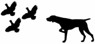 SIKPOT Autoaufkleber, 22 cm (8,6 Zoll), Autoaufkleber, Deutscher Kurzhaar-Zeiger, DREI Wachteln, Kurzhaariger Hund, Vinyl-Aufkleber, Schwarz/Silber (Hg1Fs12050)(2 Stück)