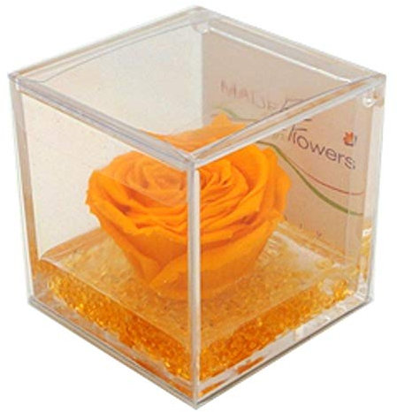 rosa vera gialla, regalo festa pensiero cerimonia, dura per sempre, stabilizzata profumata cubo 8x8x8 plexiglass