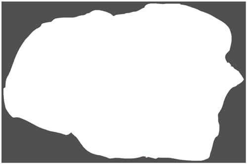 Samunshi® Föhr Insel Aufkleber Sticker Autoaufkleber Wohnmobil Laptop Notebook Deko 8 x 5,2cm weiß