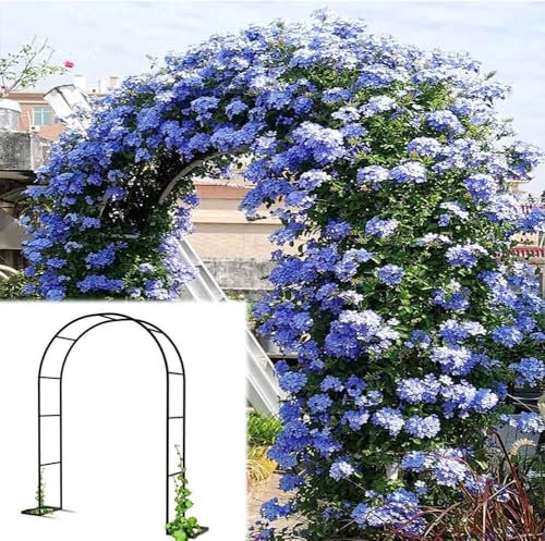 WCQSYY Arco De Jardin para Plantas Arco De Hierro Forjado para Plantas Trepadoras Arco De Rosales para Plantas Trepadoras,Blanca,W3.5M*H2.2M