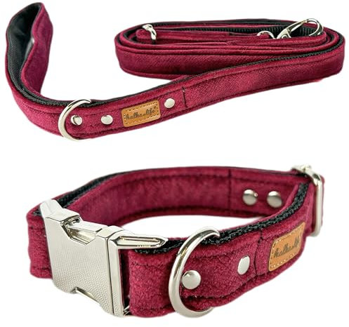 Hundeleine und Halsband – Set für einen Hund mit Leine und Halsband – Doppellagiges, Starkes Halsband mit Metall- oder Kunststoffschnalle (Kirsche, L (Metallschnalle))