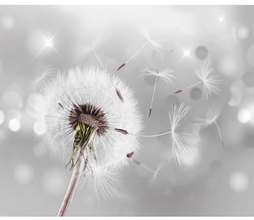 decomonkey - Papier Peint Panoramique Pissenlit Nature 350x256 cm - Décoration murale – Tapisserie décorative pour chambre salon - Lueur pissenlit fleurs nature romantique plantes gris clair