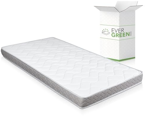 EVERGREENWEB Günstige Matratze für Schlafsofa, 14 cm hoch, orthopädische Wasserschaummatratze, hypoallergene und ergonimische Matratze mit weißem Bezug 100X190 – DAYBED