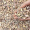 FANTIAN 2lbs Small Pebbles Peach Gravel for Fish Tank, 6-9 mm Decorative Stones for Outdoor Garden Cactus Plants Pots, Small Pebbles for Vase Aquarium Gravel