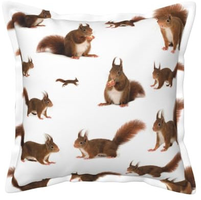 KIROJA Süßes Eichhörnchen Luxus-Kissen mit Kisseneinsatz, Sofakissen, für drinnen und draußen, Sofa, Bett, Deko-Kissen