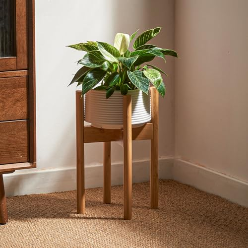 Bamworld Support pour plantes d'intérieur - Couleur naturelle - Réglable - Télescopique - Convient aux pots de différentes tailles - Hauteur 32 cm
