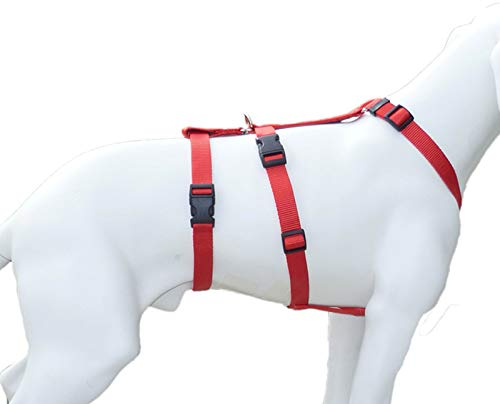 Feltmann NoExit Hundegeschirr® - ausbruchssicher, Panikgeschirr, Unifarben Rot, Bauchumfang 50-65 cm, 20 mm Bandbreite