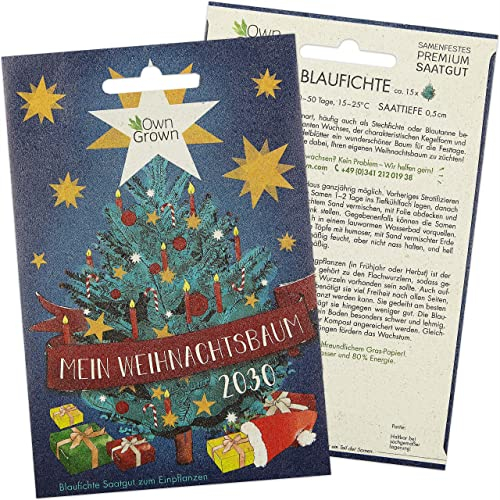 Blaufichte Weihnachtsbaum Samen: Mein Weihnachtsbaum 2030 – Premium Saatgut zum Tannenbaum Pflanzen für 5x Blaufichte – Tannenbaum für Garten – Blautanne zum Pflanzen – Tannenbaum Samen von OwnGrown