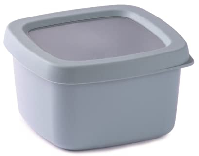 Snips | Contenitore Salva Aroma | Contenitore Per Cibi | 0,50 LT | Chiusura Ermetica | 12 x 12 x 7 cm | Azzurro | Made in Italy | Bpa Free