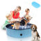 Gimisgu Hundepool für Kleine Hunde 160x30cm Hundepool fur Große Hunde Hundebadewanne Hunde Planschbecken Hundepool Faltbar Hunde Pool inkl. Badebürste & Reparaturset Dog Pool, Blau