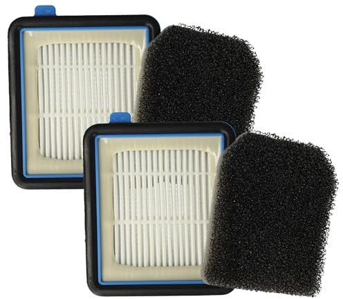 vhbw 2x HEPA-Filter, 2x Vormotor-Filter kompatibel mit Electrolux PF91, FX9 Staubsauger
