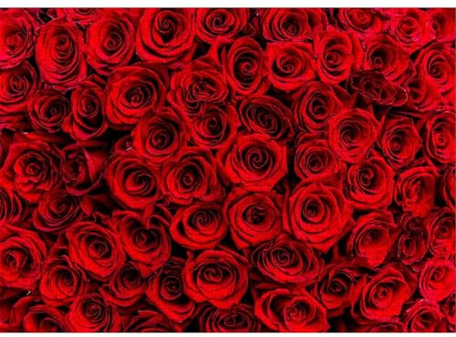 Puzzle für Erwachsene 2000 Teile Dunkelrote Rosen, 100 x 70 cm Puzzles für Erwachsene Pädagogisches Spiel Herausforderung Spielzeug 2000 Teile, Puzzle Erwachsene Anspruchsvoll