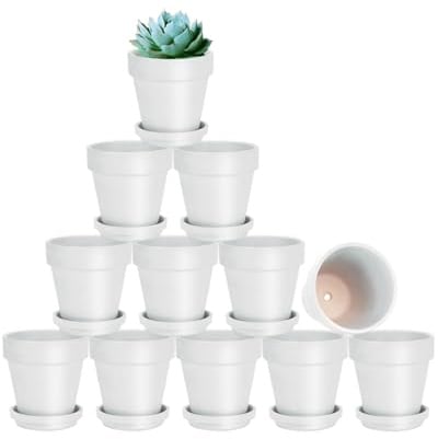 vensovo 7.6 CM White Clay Pot for Plant with Saucer - 12 Pack Small Terra Cotta Plant Pot with Drainage Hole, Flower Pot with Tray, Terracotta Pot for Indoor Outdoor Plant