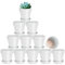vensovo 7.6 CM White Clay Pot for Plant with Saucer - 12 Pack Small Terra Cotta Plant Pot with Drainage Hole, Flower Pot with Tray, Terracotta Pot for Indoor Outdoor Plant
