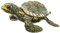 CALLARON Schmuckschatulle mit Schildkröten- Metall Aufbewahrungskoffer Kleiner Schmuck-organizer für Die Inneneinrichtung