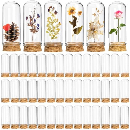 Mezchi 50 Pack 40 ml Glass Cloche Dome, 3x7cm Cloche Bell Jar, 2.7 Small Decorative Bell Jar with Cork Stoppers, Decoration Jars for Wedding, Party Favors, Candy, DIY Art Crafts, Favor Dried Flower