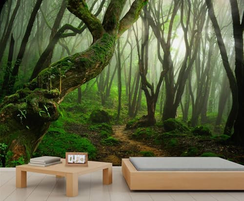 QDJKBL Misty Green Forest Wall Murals Tropical Rainforest Jungle Branches Mural Wallpaper Green Nature Landscape Wallpaper for Bedroom Living Room Company 100 x 70 cm
