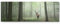 Paul Sinus Art Leinwandbilder | Bilder Leinwand 120x40cm Hirsch im Wald