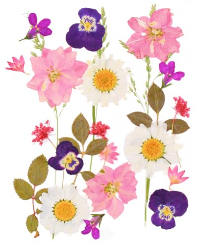 24 Stück Natürliche Getrocknete Blumen Trockenblumen zum Deko Gepresste Gemischte Blätter Gänseblümchen für Kunst DIY Harz Scrapbooking Karten Zubehör Handgemachte Heimdekoration Hochzeit-Stil 1