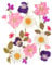 24 Stück Natürliche Getrocknete Blumen Trockenblumen zum Deko Gepresste Gemischte Blätter Gänseblümchen für Kunst DIY Harz Scrapbooking Karten Zubehör Handgemachte Heimdekoration Hochzeit-Stil 1