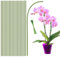 Pflanzenstütze 40CM, HOUNANG 20 Stück Pflanzstäbe für Innen- und Außenbereich, Flexibler Orchideenstäbe aus Grünem Kunststoff und Metall, Pflanzen Stütze,Professionelles Pflanzenstab