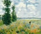ABEUTY Peinture Numero Field & Fleurs Coquelicot, Peinture par Numero 40x50 cm Peinture Numéro Bricolage