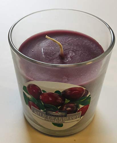 Steinhart Wild Ganberry Duftkerze im Glas