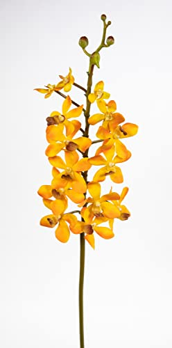 Seidenblumen Roß Orchideenzweig Vanda 70cm orange CG Kunstblumen künstliche Orchidee Vanda Blumen Pflanzen