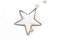 Good old Friends Winter Transparent Ornament Stern 5er