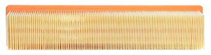 Air Filter Champion (CAF1 00817P) | Filter, Air Supply