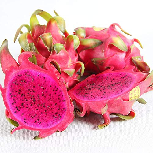 MEIGUISHA Gartensamen-Drachenfrucht Kaktus Saatgut schnellwüchsiger Fruchtsamen bio Obst mehrjährig,essbare süße Fruchtfleisch,exotische Samen für Obstgarten (50,Rot)