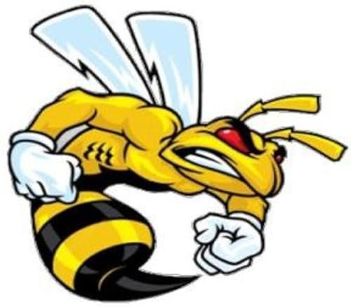 Wildebabsklbt 11 cm Hochwertiger Autoaufkleber Sticker Decal Selbstklebende Folie Super Bee Fighter Zwei 2-Fäuste Augen Rot F1730