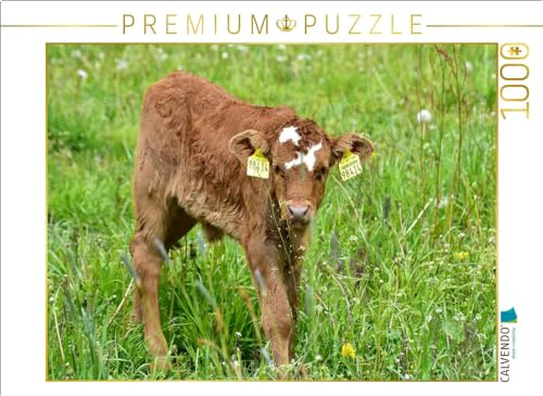CALVENDO Puzzle Der Ohrschmuck des zierlichen Kälbchens ist etwas pompös | 1000 Teile Lege-Größe 64 x 48 cm Foto-Puzzle für glückliche Stunden