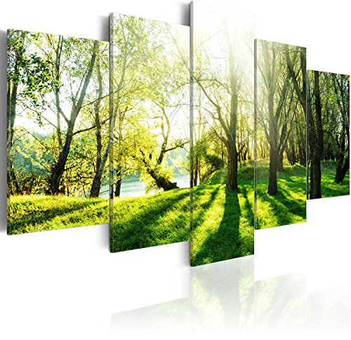 B&D XXL - Tableau décoratif paysage 200x100 cm - Impression sur toile colorée - Décoration murale - Arbres paysage forêt feuilles nature paysage plantes soleil vert c-B-0030-b-n