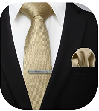 HISDERN Herren Solid Beige Krawattenklammer Taschentuch Hochzeit Party Classic Krawatte & Einstecktuch Set