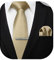 HISDERN Cravate Homme Sergé Mariage Fete et Pinces à Champagne cravate & Carre de poche Set