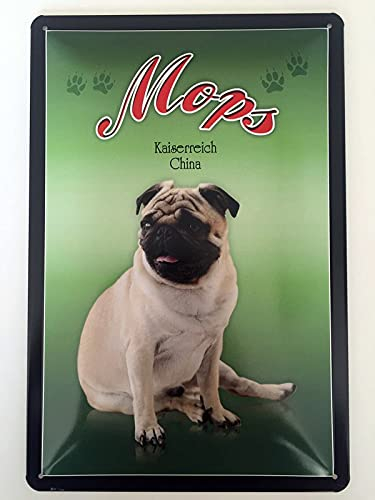 Metall Schild 20x30cm Mops China Hund Blechschild