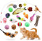 GaiusiKaisa Katzenspielzeug Set 23 Teile mit Katzenminze – Interaktive Spielmäuse, Federn Angel, Bälle & Matatabi – Spielzeug für Kitten und Katzen – Premium Katzen Spielset für Unterhaltung