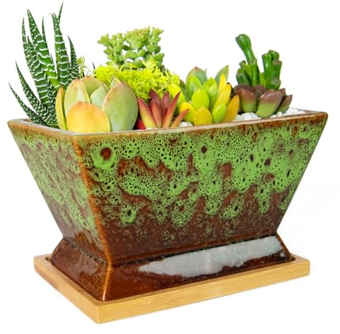 ARTKETTY Succulent Pots - 7 Inch Large Plant Pot with Drainage Tray, Shallow Ceramic Pots for Indoor Plants, Modern Cactus Bonsai Plant Container Decorative Home Office