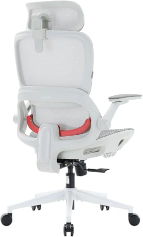 SIHOO B100-PRO Chaise de bureau ergonomique, appuie-tête 3D, double dossier, accoudoirs multifonctions 4D, roulettes silencieuses en polyuréthane, pour bureau à domicile et bureau