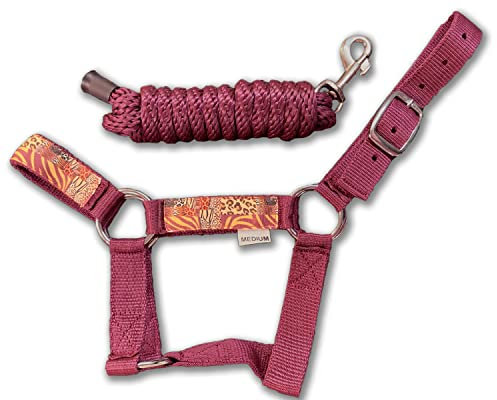 Niedlich und stilvollen Miniatur-Pferd Leine und Führleine von halterup (2 Artikel Bundle) erhältlich in 10 Farben, kastanienbraun