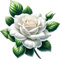 x4 White Rose Flower Vinyl Stickers Cover Marks Non Transparent Waterproof Floral Art Decals 1@ 20cm Tall Ideal for Toilets or car. 3@ 7cm Tall Ideal for Phone case, Cups & Wine Glass (Rose White)