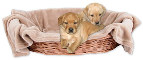 Bestlivings Tierdecke Hundedecke Kuscheldecke Haustierdecke, kuschelig weich in vielen erhältlich (60x80 cm/sandbeige - Creme)