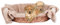 Bestlivings Tierdecke Hundedecke Kuscheldecke Haustierdecke, kuschelig weich in vielen erhältlich (60x80 cm/sandbeige - Creme)