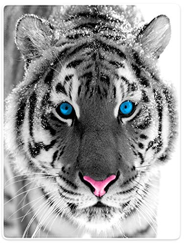 Violetpos Dick Decke Weich Wärme Gemütlich Flanell Fleece Sofadecke Deckeldecke Sibirische Tiger Blue Eyes 125 x 200 cm