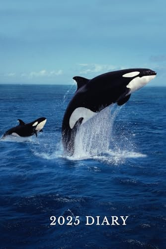 Orca Diary 2025: Week to view, 6 x 9 inch, Perfect gift for women, men, and orca lovers