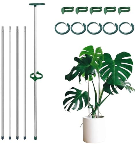 Supporto Per Piant, Tutori per Piante Regolabile da 28 a 52 cm con Clip Sostegno Piante per Uso Interno ed Esterno, Tutori da Giardino per Orchidee, Pomodori, Verdure, Monstera e Piante Rampicanti