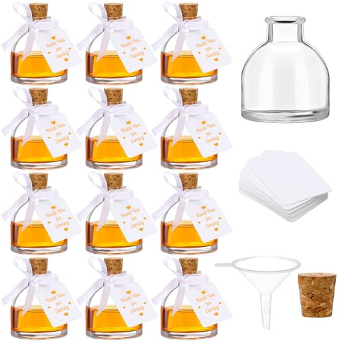 Dingion 12 Pcs Mini Glass Liquor Bottles 1.7 oz Small Glass Wine Bottles Set for Wedding Empty Glass Bottles with Corks Silk Ribbon Funnel Tags and Ropes for Wine Juice Alcohol Wedding Party Favors