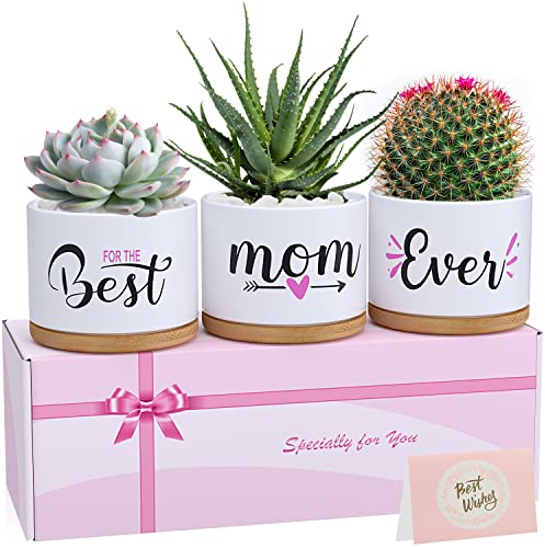 TuDou Gifts for Mum, Birthday for Mummy from Daughter Son Kids Baby, Unique Best Mum Ever Ceramic Succulent Plant Pots Indoor Gifts for Any Occasion, Arrive Beautifully Gift Boxed